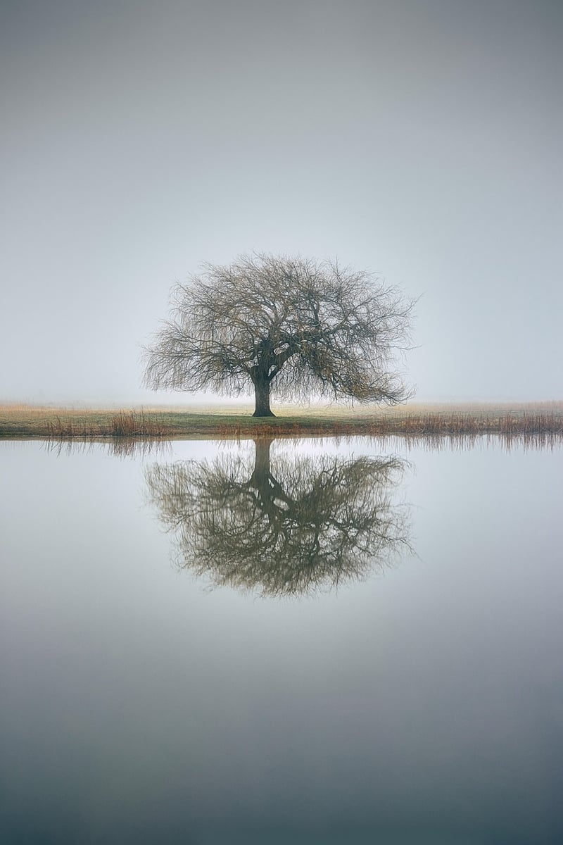 Peaceful Symmetry